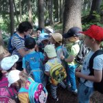 phoca_thumb_m_vp- 4. den  136 Fotogalerie
